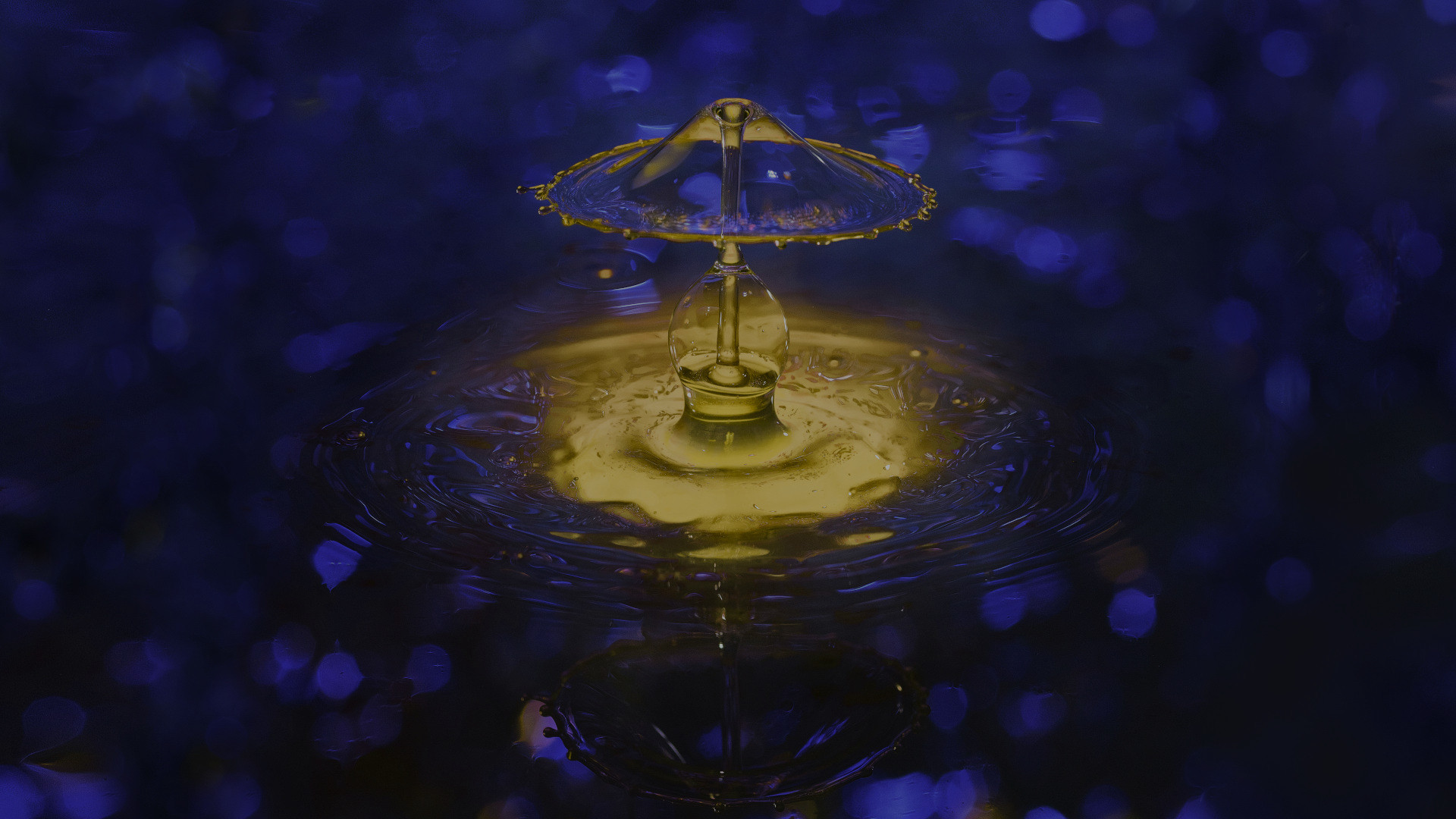 PRIM IT security - Prime Your Business